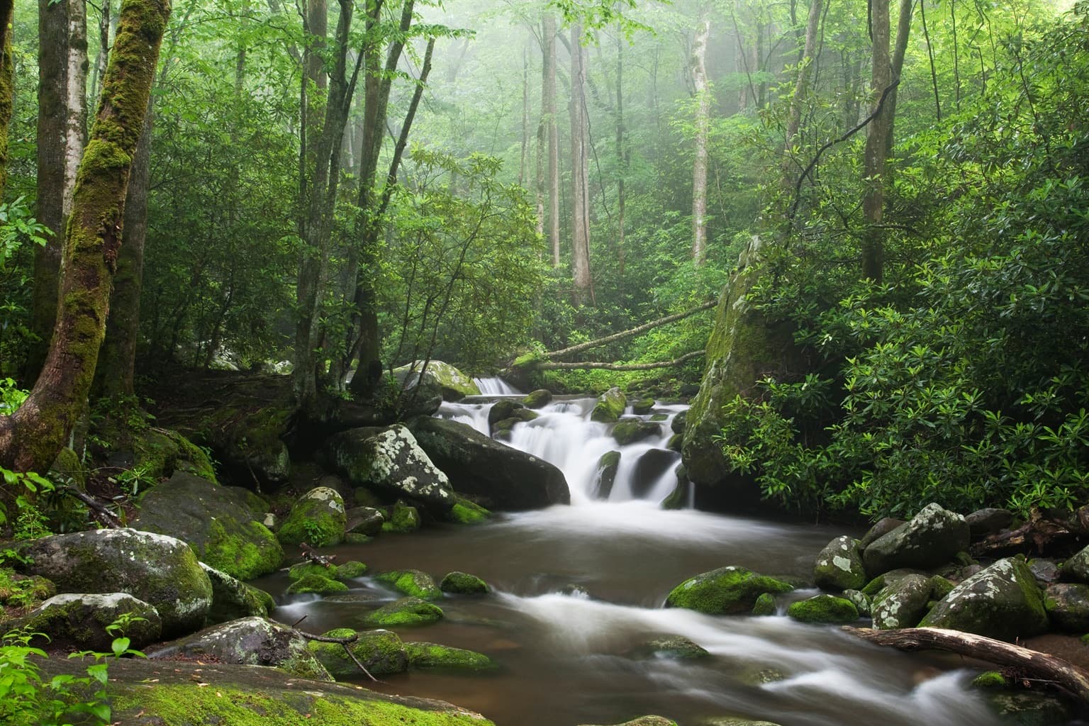 Gatlinburg Experiences for Everyone