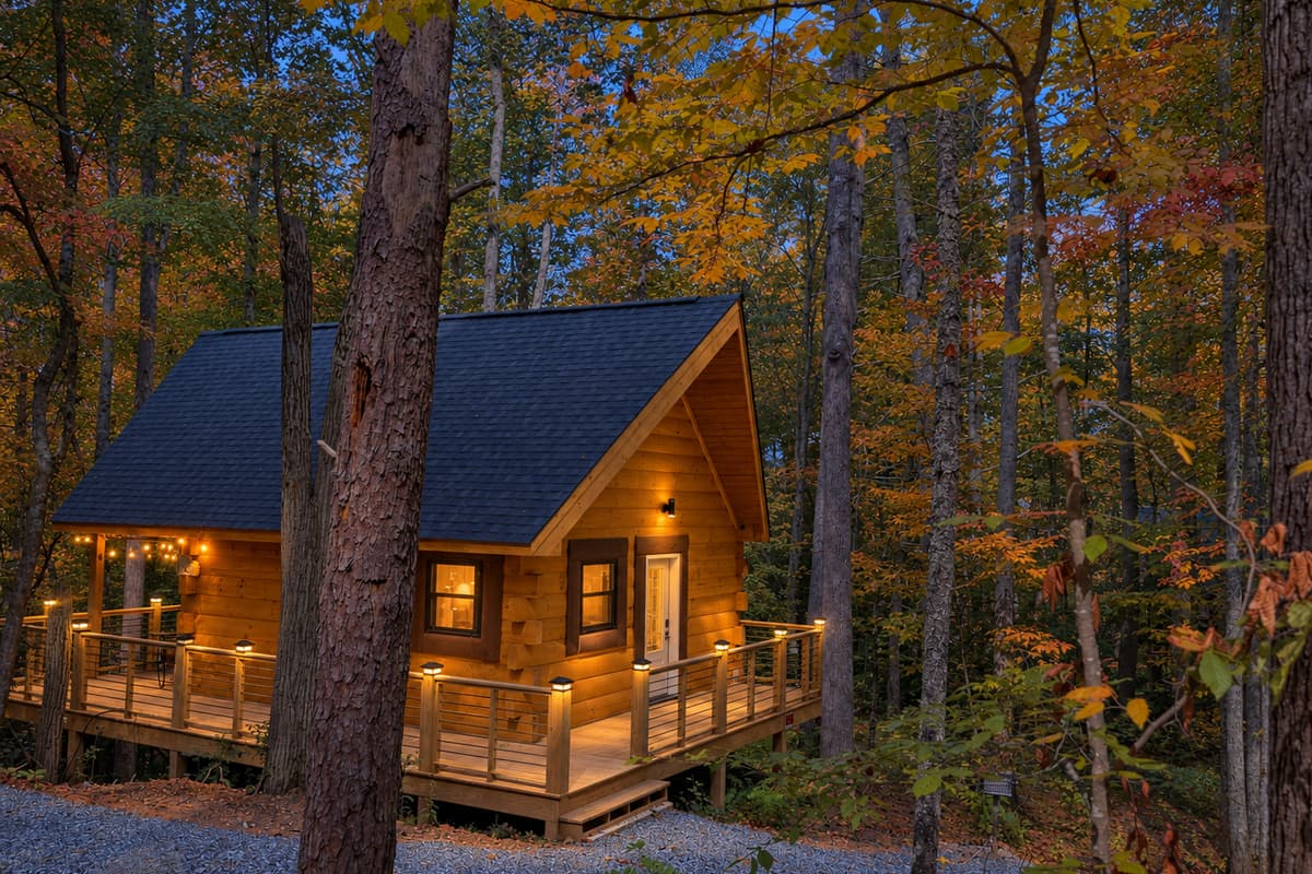 Golden Forest, Just opened · built for two